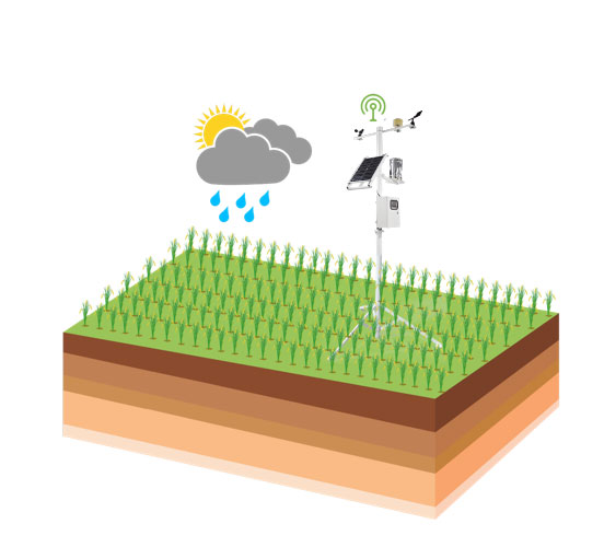 農(nóng)業(yè)四情監(jiān)測預(yù)警系統(tǒng)